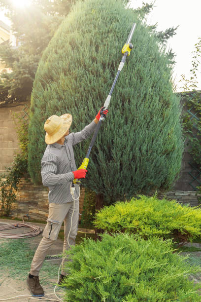 Best Leaf Removal  in Golden Hills, CA